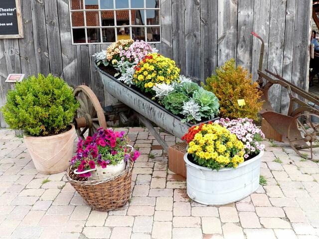 überall noch schöne Blumen