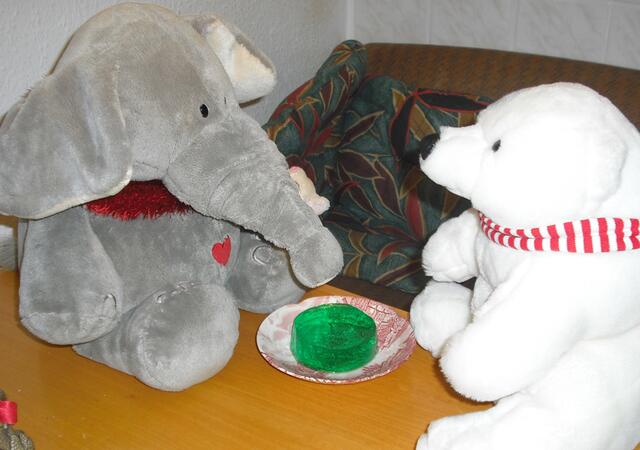 Jumbo und Lars mit lecker Wackelpudding