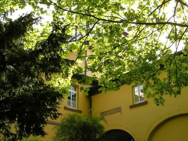 verwunschenes Schloß