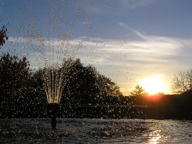 Brunnen im Schloßgarten (Therapiegarten)