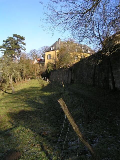 Spaziergang im Frühling