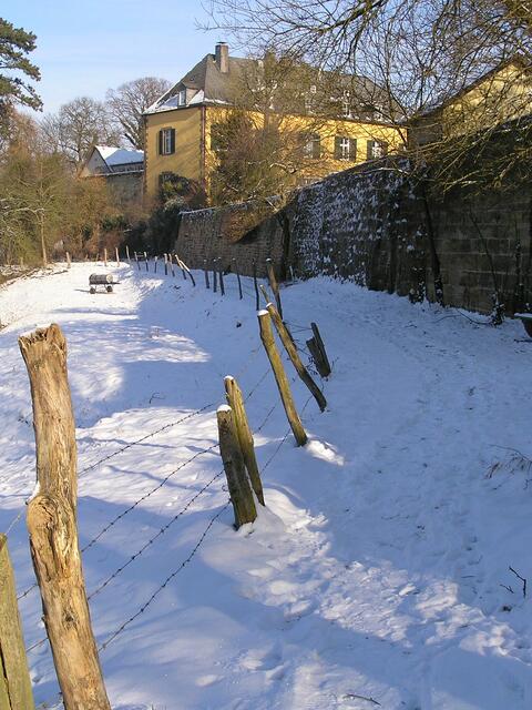 Spaziergang im Winter