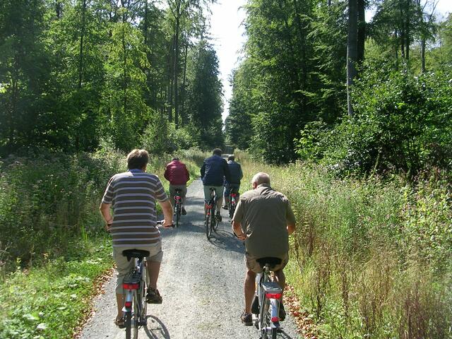 Noch ist die Fahrt im Wald angenehm