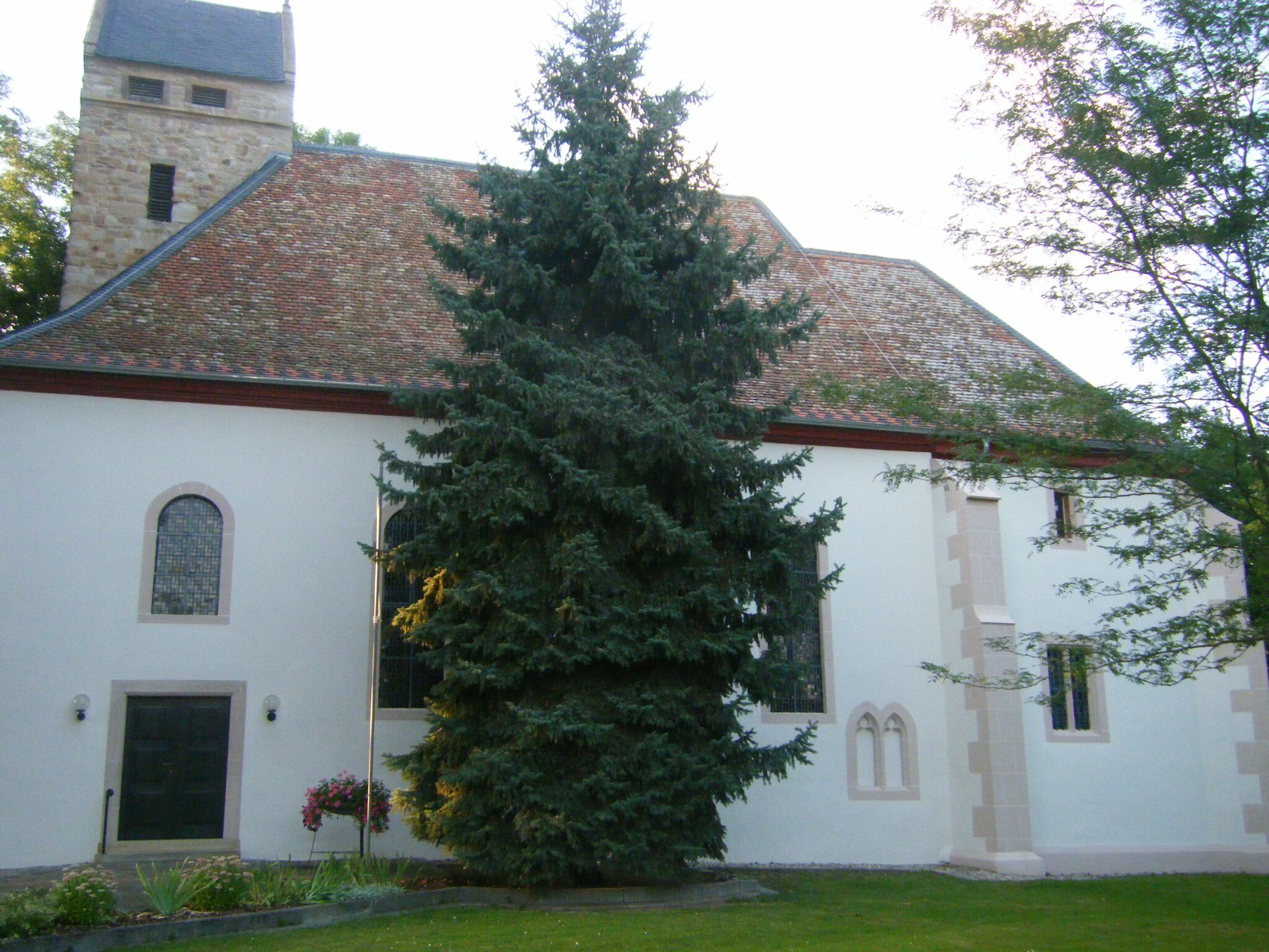 die-katholische-kirche-in-alzey-weinheim-alzey