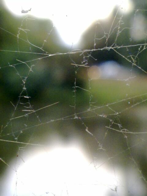 Da ist mir was ins Netz gegangen :-)