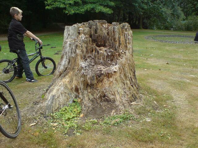der Baum....und mein Jüngster ;-)