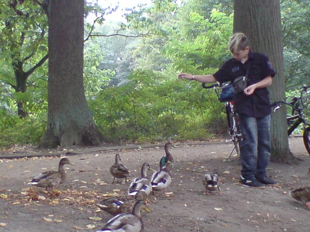 Auch die Enten hatten Hunger.
