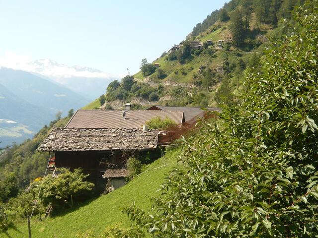 Noch ein kleiner Abstecher zum Meraner Höhenweg ...