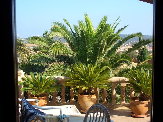 Meine Terrasse