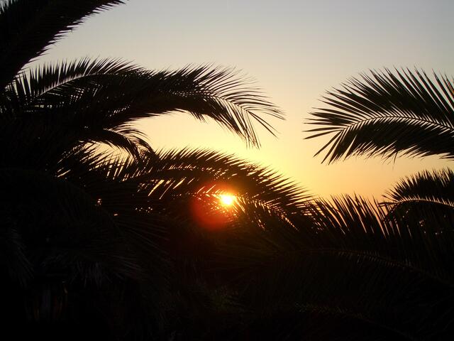 7.30 Uhr Morgens