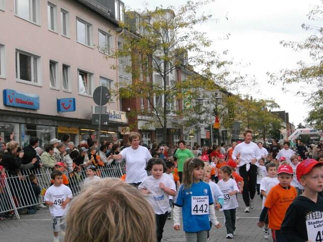 das Hauptfeld