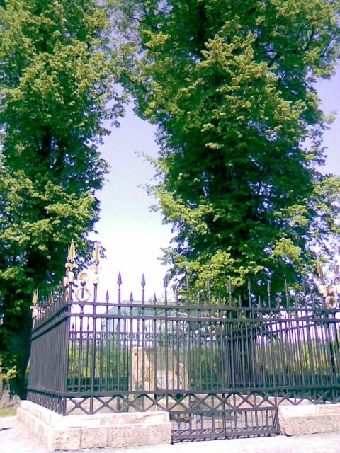 "Baum-umkrönt"