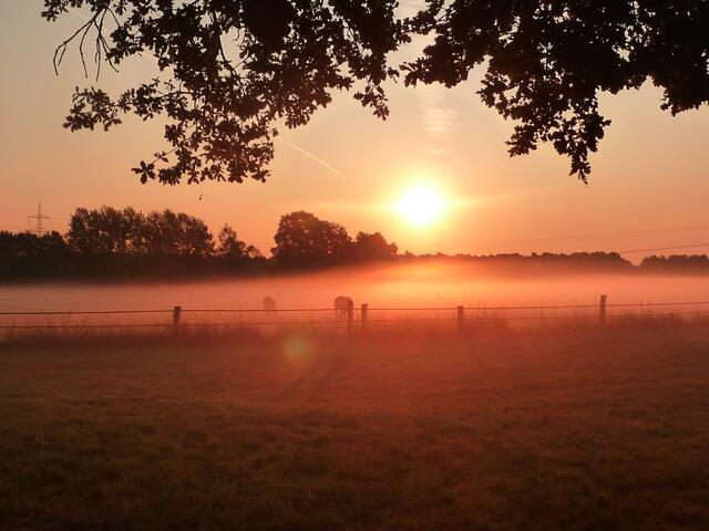 Sonnenaufgang am 09.09.09 auf einer Weide am Ahltener Wald
