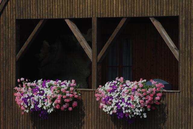 Impressionen 02