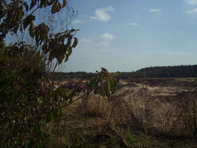 Blick in die Kies- und Sandabbaugrube