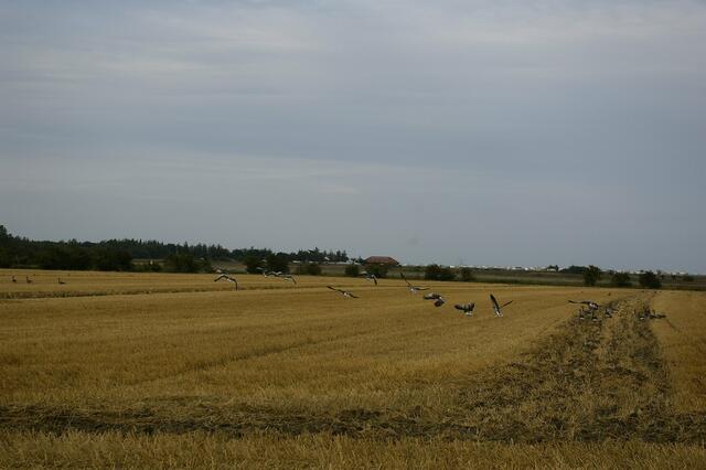 unweit des Campingplatzes Flügge