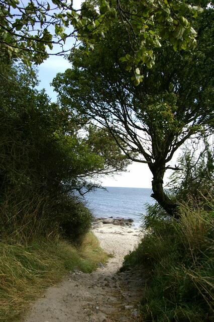 Gang zum Strand