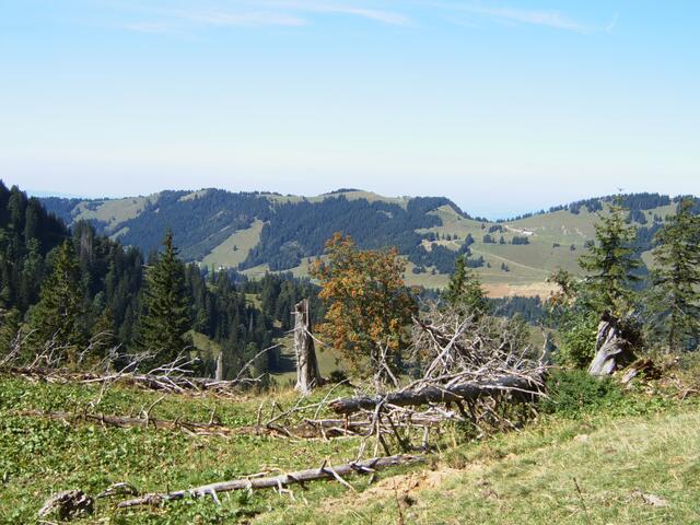 Auf dem Weg zum Tal