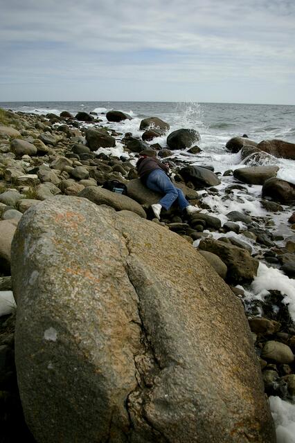 mitten in den Steinen