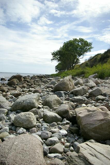 hier liegen schöne Hinkelsteine