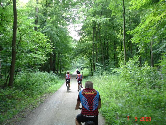 Wir fahren lieber im Wald