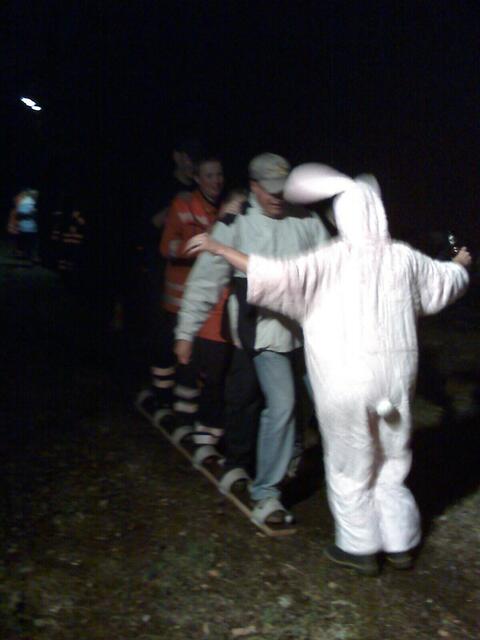 wildgewordener Hase zum Trotz