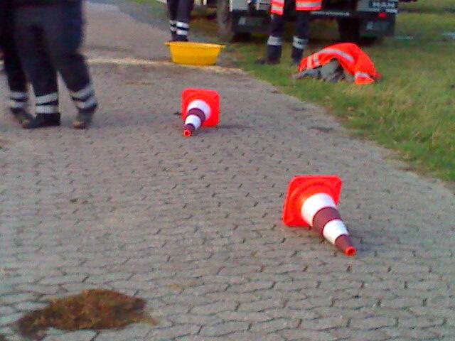 klappt nicht immer ... unsere Opfer.....