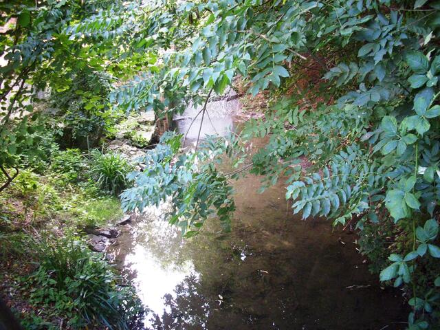 An der Ewig´schen Mühle am Mühlenbach