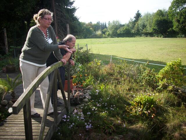 Blick von der Gartenbrücke ins Moor