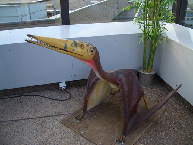 Ein Dino auf der Aussichtsterrasse