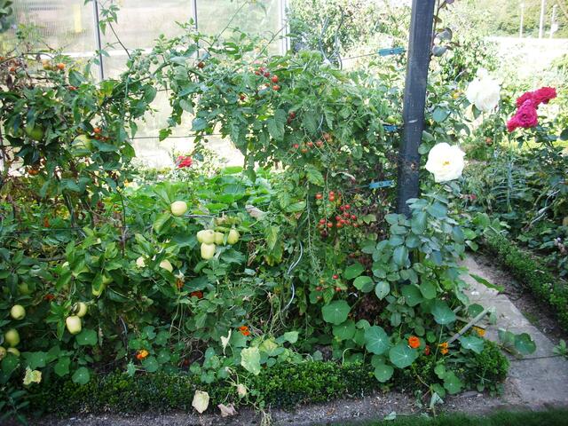 Diese Cherry-Tomaten aber auch