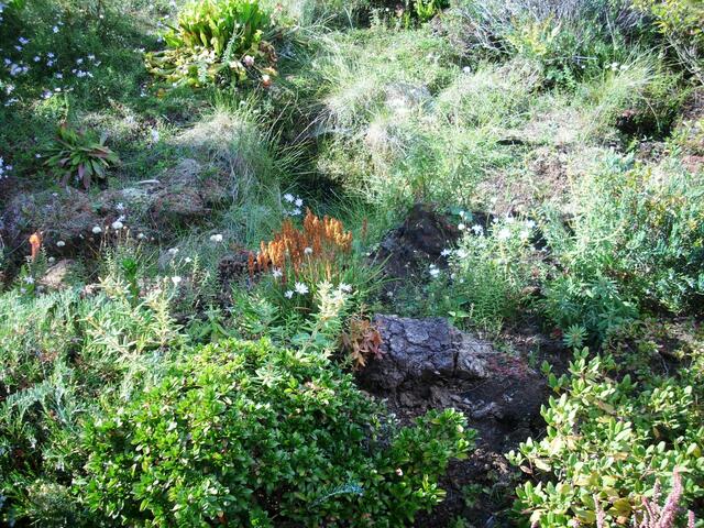 Private Moorlandschaft