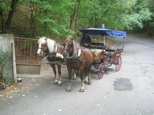 Aufgang zum Karlstein mit der Pferdekutsche
