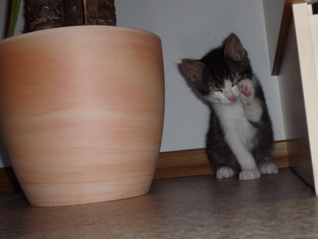 beim putzen