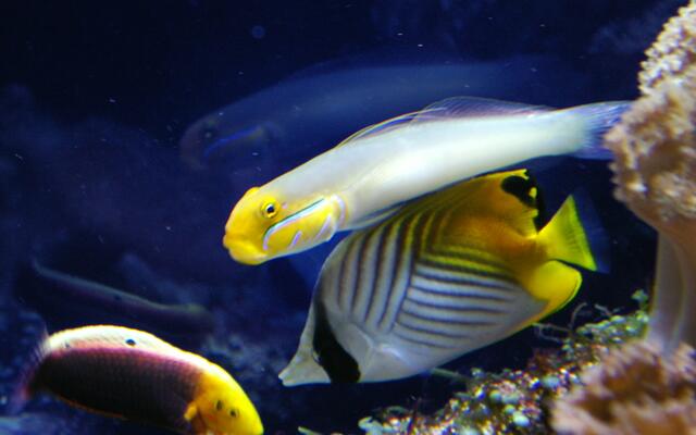 manche waren ziemlich scheu, da musste man echt warten