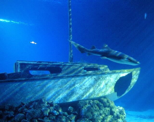 ein sehr großes Becken extra für die Jungs