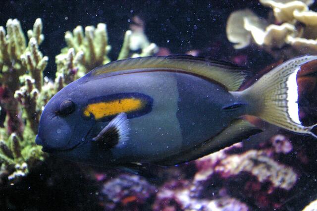 in real noch intensivere Farbe