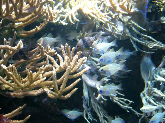 die kleinen halten zusammen