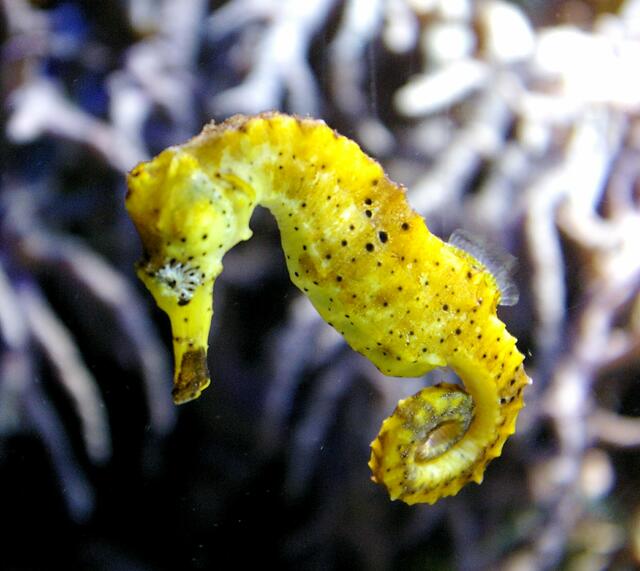 bei denen hätt ich Stunden verbringen können, die zig Kids um mich ebenso