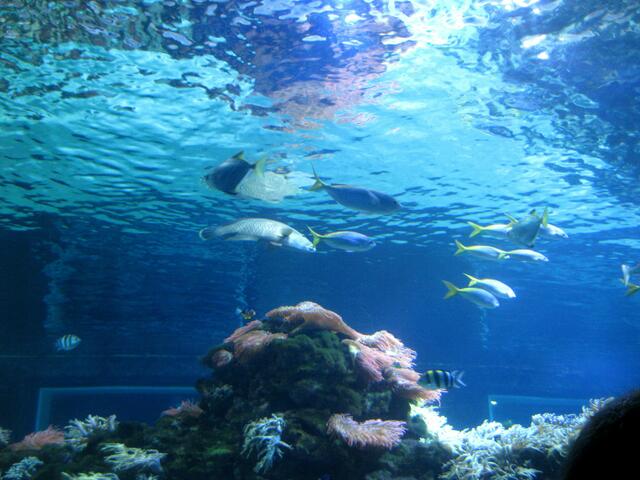 hier waren etwas größere