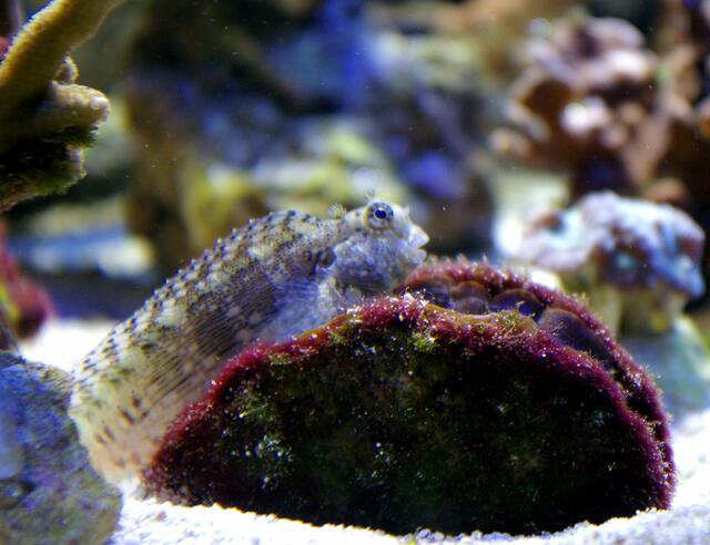 gerade noch erwischt