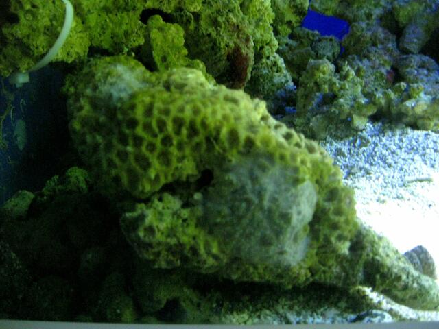 und der guckt nicht....