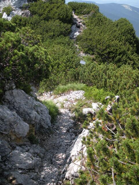 Auf dem Weg zum Zwiesel