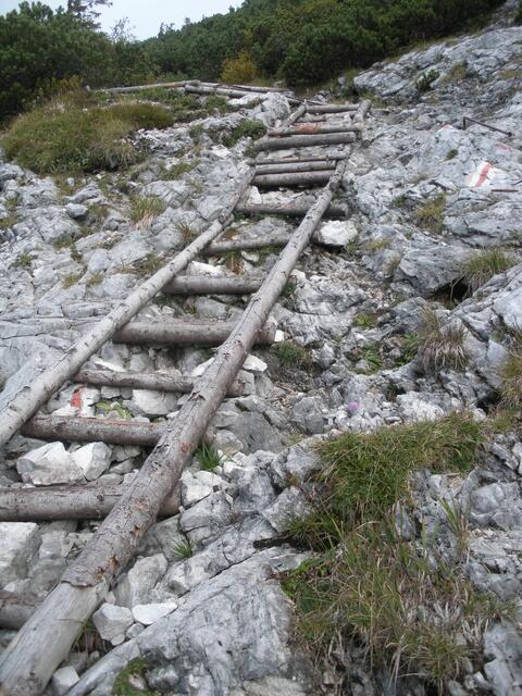 nochmals der Steig zum Gamsknogl