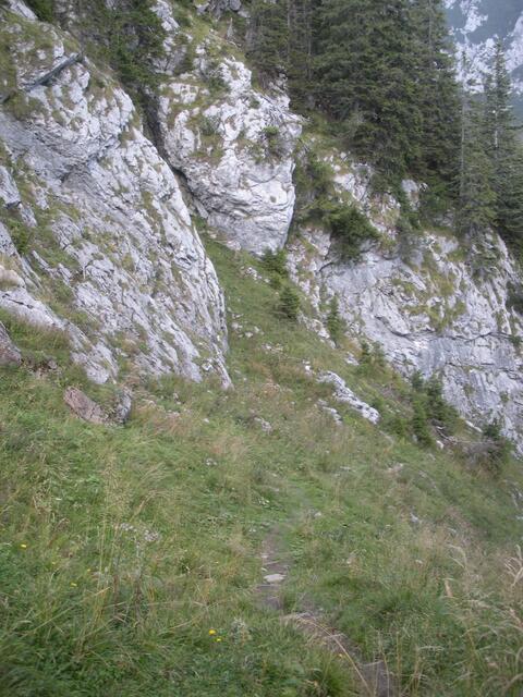 Alternativweg zur Zwieselalm
