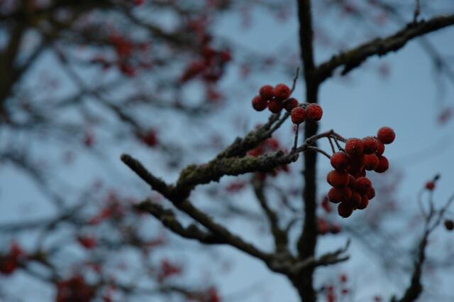 Unsere Natur ist oft ein Traum!