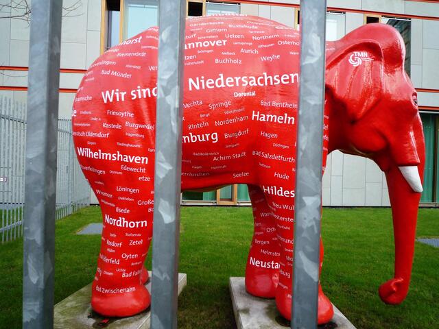 ... auch in Berlin hat Springe einen Namen ...