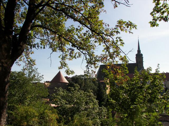Nicolaiturm und Petri-Dom