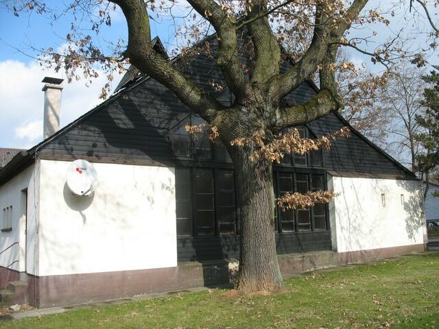 Ostseite der Notkirche mit großem Fenster (03.03.2009)