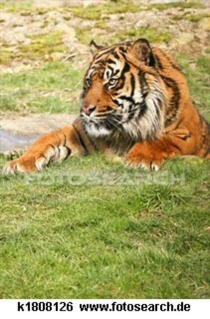 Foto: fotosearch lizenzfrei